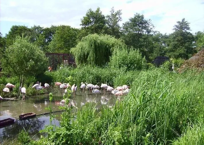 Ostsee Perle By Interhome